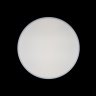 Потолочный светодиодный светильник Axel Loft It 10002/24 White