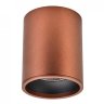 Накладной светильник Wertmark Stecken II WE804.01.607