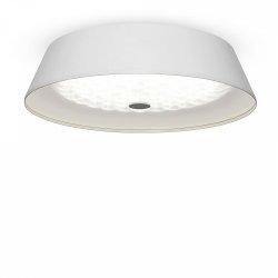 Потолочный светодиодный светильник с пультом ДУ Freya Cells FR10013CL-L24W