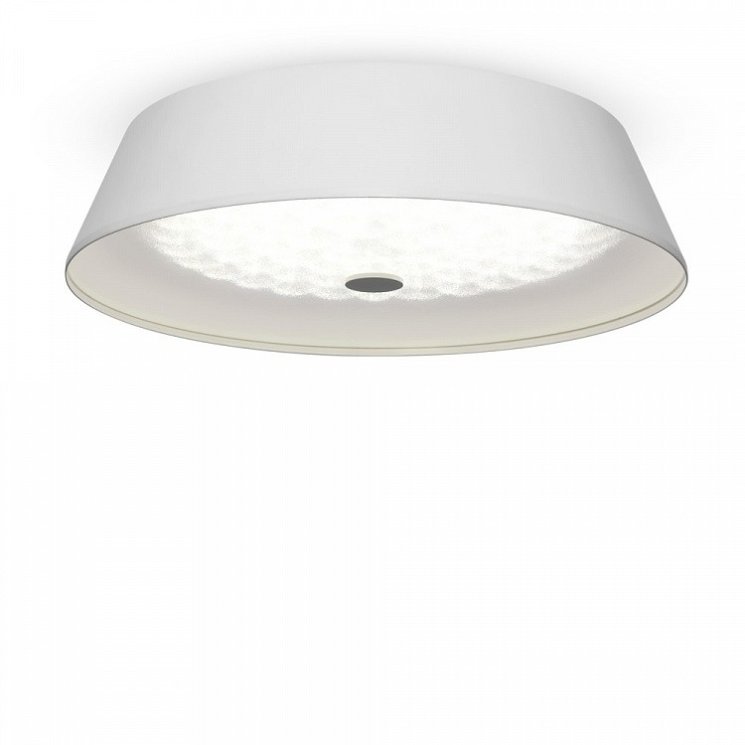 Потолочный светодиодный светильник с пультом ДУ Freya Cells FR10013CL-L24W