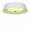 Потолочный светодиодный светильник с пультом ДУ Freya Cells FR10013CL-L24W