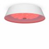 Потолочный светодиодный светильник с пультом ДУ Freya Cells FR10013CL-L24W