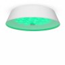 Потолочный светодиодный светильник с пультом ДУ Freya Cells FR10013CL-L24W