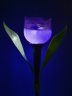 Светильник на солнечных батареях (UL-00004278) Uniel Promo USL-C-453/PT305 Purple Tulip