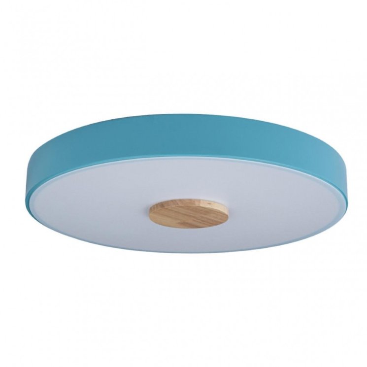 Потолочный светодиодный светильник Axel Loft It 10003/24 Blue