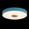 Потолочный светодиодный светильник Axel Loft It 10003/24 Blue