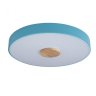Потолочный светодиодный светильник Axel Loft It 10003/24 Blue