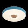 Потолочный светодиодный светильник Axel Loft It 10003/24 Blue