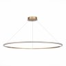 Подвесная светодиодная люстра St Luce OUT ST604.243.57