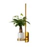 Настенный светильник Greenery Favourite 4050-1W