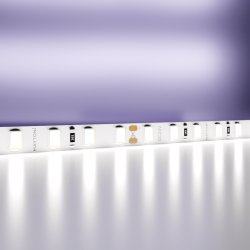 5м. Светодиодная лента холодного цвета 6000К, 9,6W, 24V, 60LED, IP20 Led strip 20021