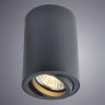 Накладной светильник Arte Lamp Sentry A1560PL-1BK