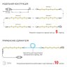 Светодиодная гирлянда ЭРА нить 24Vтеплый белый ENON-10B