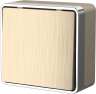 Выключатель одноклавишный Gallant (шампань рифленый) Werkel W5010010