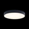 Потолочный светодиодный светильник Axel Loft It 10002/24 Black