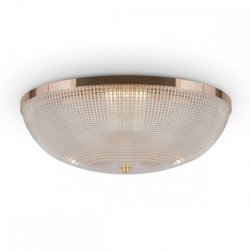 Потолочный светильник Maytoni C046CL-06G