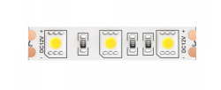 5м. Светодиодная лента холодного цвета 6000К, 14,4W, 12V, 60LED, IP65 Led strip Maytoni 10133