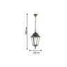 Уличный подвесной светильник с лампочкой Favourite London 1808-1P+Lamps E27 P45