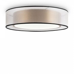 Потолочный светильник с пультом ДУ Freya Zoticus FR6005CL-L36G