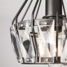 Потолочная люстра Eurosvet 70075/5 черный