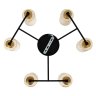 Потолочная люстра Arte Lamp Leo A7027PL-6BK