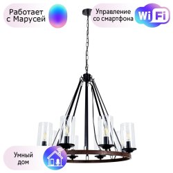 Подвесная люстра Arte Lamp Dalim с поддержкой Маруся A7014SP-8BK-М