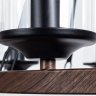 Подвесная люстра Arte Lamp Dalim с поддержкой Маруся A7014SP-8BK-М