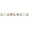 5м. Светодиодная лента теплого цвета 3000К, 4,8W, 24V, 60LED, IP20 ST Luce ST016.305.20